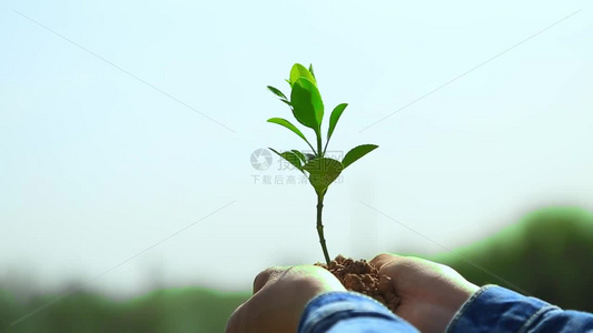 植树节种树栽树植树视频