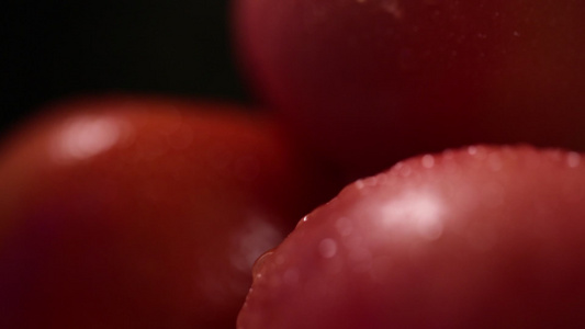 成熟的西红柿[最佳状态]视频