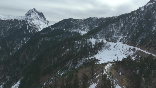 航拍雪山森林视频