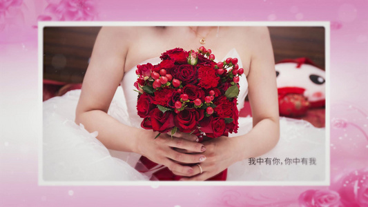 粉色温馨婚礼相册PR模板视频