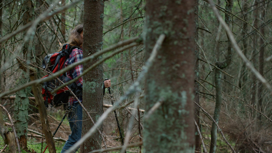 在树林里徒步旅行的快乐女人 行走在童话森林中的女性旅行者视频