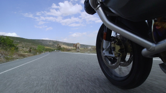 骑着摩托车在一条自然的道路上行驶路中途经过一头奶牛视频