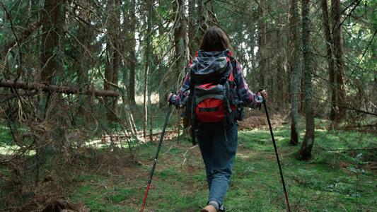 背包在森林中的年轻女子视频
