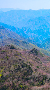 神农架5A风景区五彩斑斓的森林航拍合集世界遗产视频