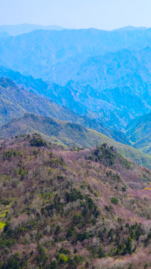 神农架5A风景区五彩斑斓的森林航拍合集世界遗产69秒视频