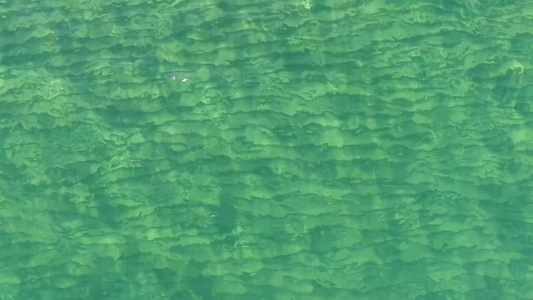 取自上方的海水中的透明水视频