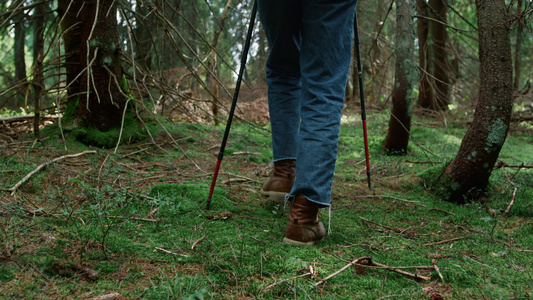穿着登山靴的人在森林的苔藓上行走 在树林中徒步旅行的男性徒步旅行者视频