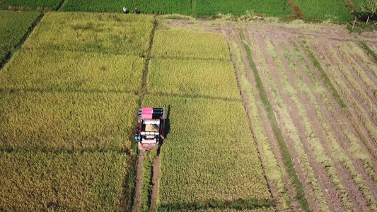 在农田空中瞄准镜头上工作的综合收割器视频