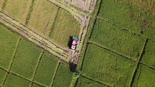 合并收割器在农田空中观测中工作放大射出视频