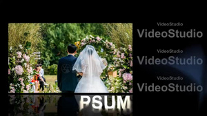 浪漫爱情婚礼写真图片展示相册会声会影X10模板261秒视频