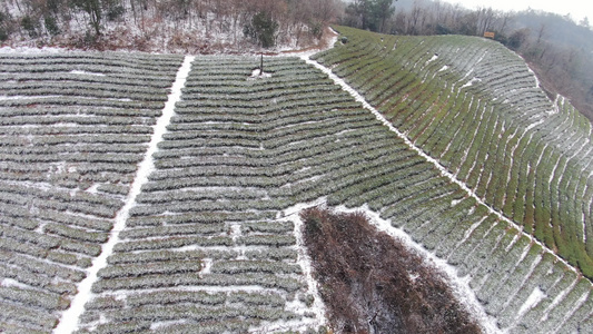 航拍湖南张家界武陵源茶园雪景视频