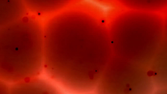 高清红色细胞科技感视频背景视频