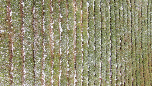 航拍湖南张家界武陵源茶园雪景视频