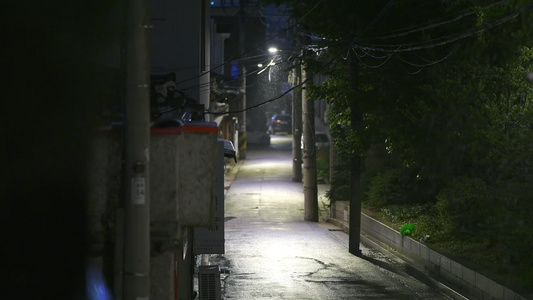 下雨夜晚城市街道店铺小巷植物视频