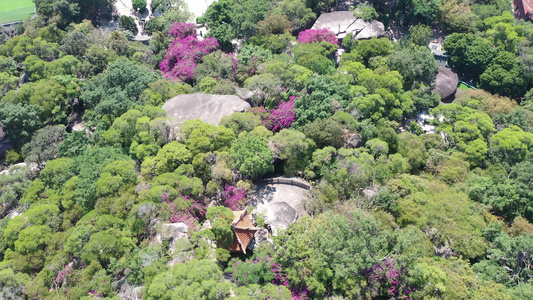 航拍福建厦门南普陀寺寺院建筑群及五老峰视频