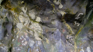 在沙石洞穴中关注墙上的历史艺术25秒视频