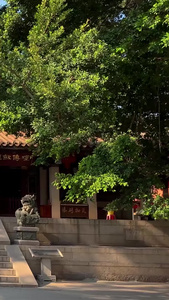 4A景区泉州南少林寺视频合集福建旅游视频