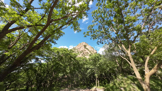 开车沿途风景视频