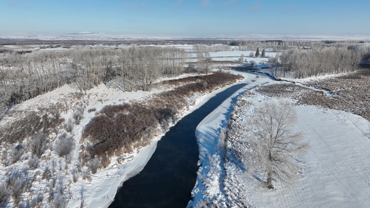 扎敦河湿地冬季雾凇树挂雪景视频