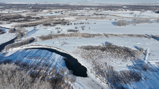 扎敦河湿地冬季雾凇树挂雪景视频