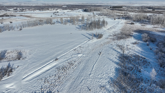 扎敦河湿地冬季雾凇树挂雪景视频