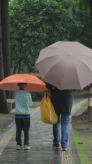 慢镜头升格拍摄素材下雨天林荫道上打伞行走的母子亲子陪伴慢动作57秒视频