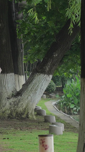 慢镜头升格拍摄素材下雨天林荫道上打伞行走的母子亲子陪伴慢动作视频