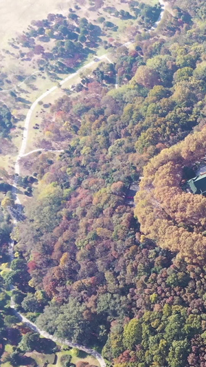 航拍美龄宫南京钟山景区74秒视频