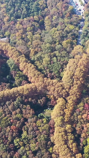 航拍美龄宫风光景区74秒视频