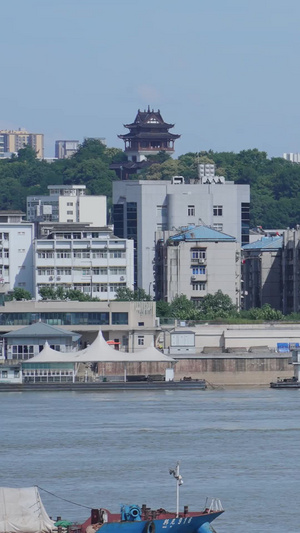 武汉黄鹤楼地标旅游江景天际线长江上穿梭的货轮素材街景素材88秒视频