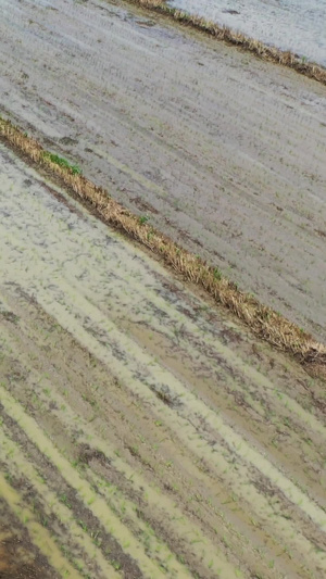 航拍俯拍作业中的插秧机现代农业42秒视频
