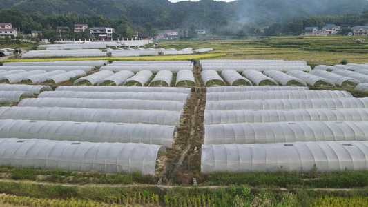 航拍农业种植保温大棚视频