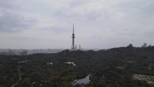 航拍山东青岛汇泉广场中山公园八大关景区视频