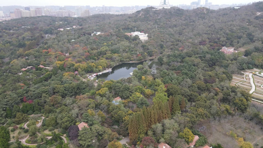 航拍山东青岛汇泉广场中山公园八大关景区视频