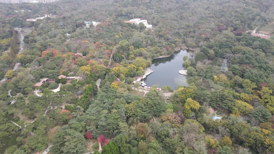 航拍山东青岛汇泉广场中山公园八大关景区视频