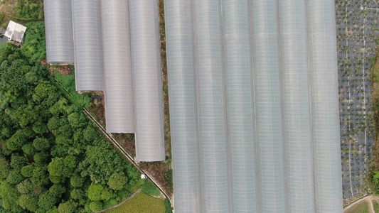 航拍现代农业大棚种植基地视频