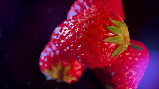 夏季水果草莓视频