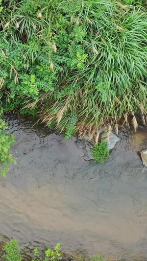 夏季漂流航拍视频30秒视频