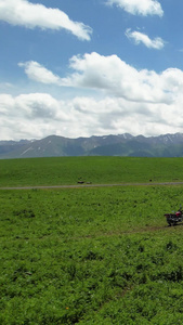 5A景区那拉提草原天牧台草原山脉风光视频新疆旅游视频