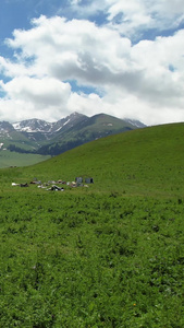 5A景区那拉提草原天牧台草原山脉风光视频伊犁那拉提旅游风景区视频