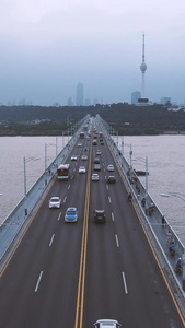 航拍风光城市长江江景桥梁道路车流素材城市天际线视频