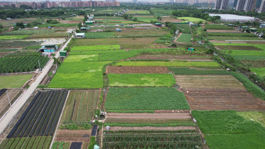 果蔬种植基地航拍视频