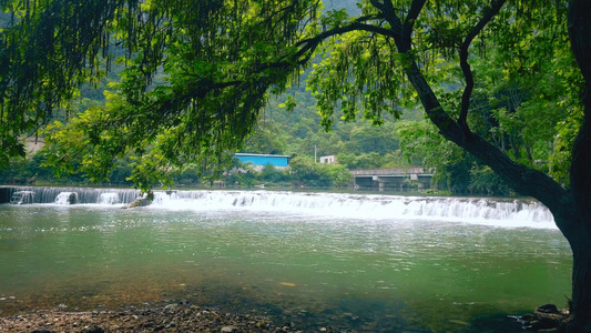 清澈的溪流瀑布[澄净]视频