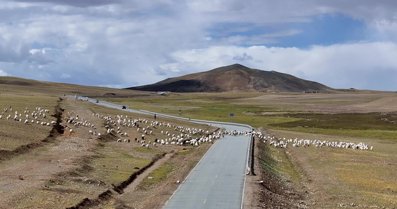 航拍西藏冈底斯山脉牧羊风光视频