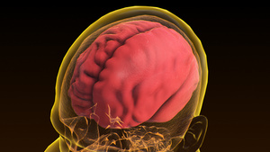 3D人体医疗脑萎缩16秒视频
