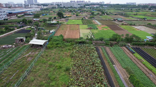 果蔬种植基地航拍视频