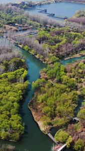 5A景区溱湖湿地公园风景区航拍视频河流湿地视频