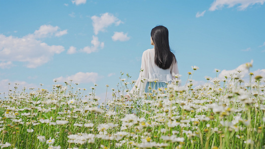 4K升格花海里的少女视频