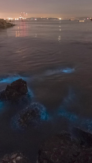 奇观荧光海滩火星潮景象大自然15秒视频