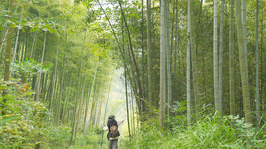 女青年登山越野徒步进深山视频